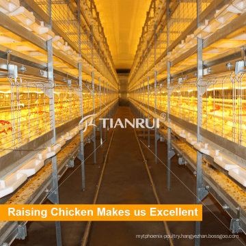 Poultry farm design and high quality automatic chicken broiler cage for Russia farm